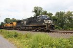 NS 4317 leading an eastbound freight